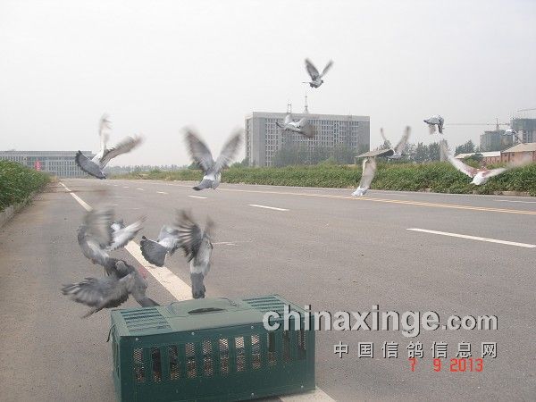 20130909225114465.jpg